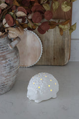 LED Hedgehog