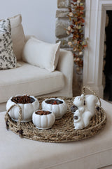 Autumn Squirrel Tray Bundle