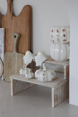 Autumn Ghost Display Stand Bundle