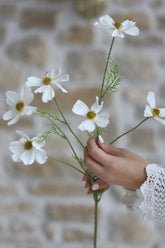 Faux Flowers - Cosmos Spray