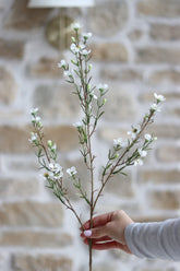 Faux Flowers - Waxflower
