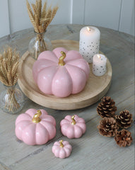 Ceramic Pumpkin Pink - Small 2 Pc Set