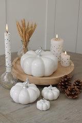 Ceramic Pumpkin White/Silver Stalk - Large