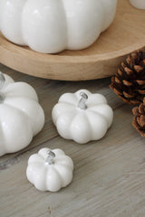 Ceramic Pumpkin White/Silver Stalk - Tiny 4Pc Set