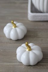Ceramic Pumpkin White/Gold - Medium 2PC