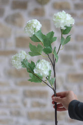 Faux Flowers - White Viburnum