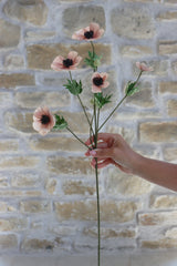 Anemone Bundle - Summer Blush