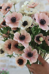 Anemone Bundle - Summer Blush