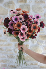Anemone Bundle - Berry Meadow