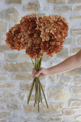 Faux Flowers - Hydrangea - Autumn Orange