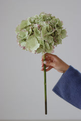 Faux Flowers - Green Hydrangea Stem