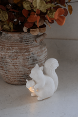 LED Squirrel