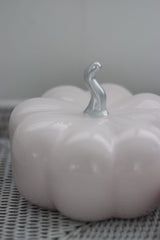 Ceramic Pumpkin Light Pink/Silver - Large