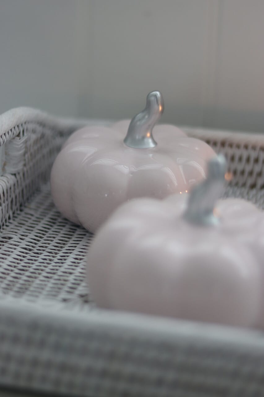Ceramic Pumpkin Light Pink/Silver - Medium 2PC
