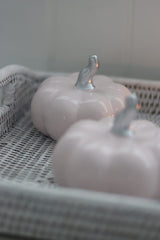 Ceramic Pumpkin Light Pink/Silver - Medium 2PC