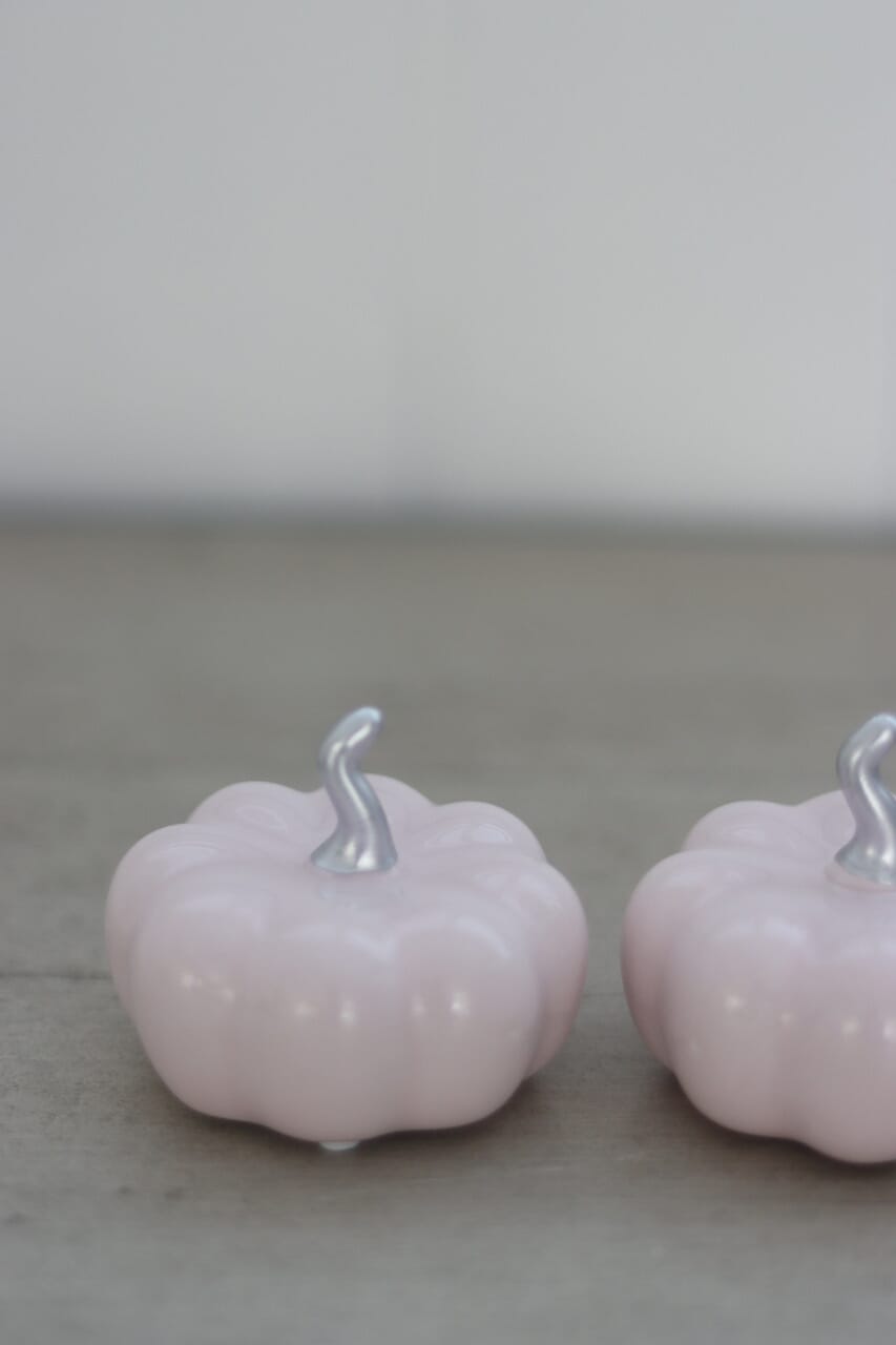 Ceramic Pumpkin Light Pink/Silver - Small 2PC