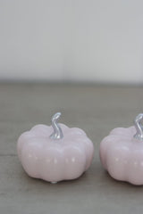 Ceramic Pumpkin Light Pink/Silver - Small 2PC