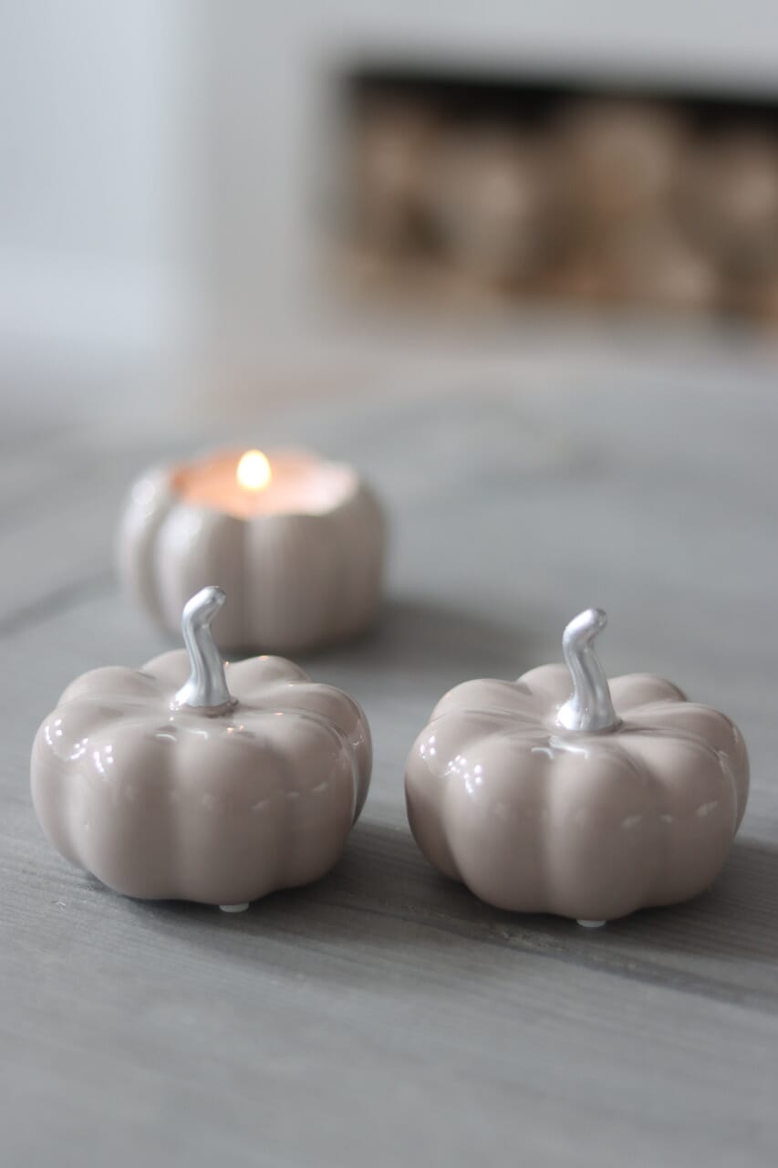 Ceramic Pumpkin Autumn - Small 2PC
