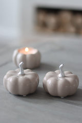 Ceramic Pumpkin Autumn - Small 2PC