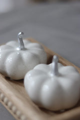 Ceramic Pumpkin Speckled - Small 2PC