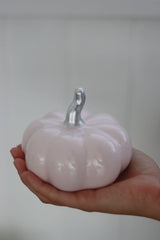 Ceramic Pumpkin Light Pink/Silver - Medium 2PC