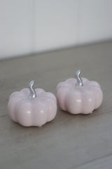 Ceramic Pumpkin Light Pink/Silver - Small 2PC