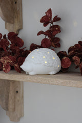 LED Hedgehog