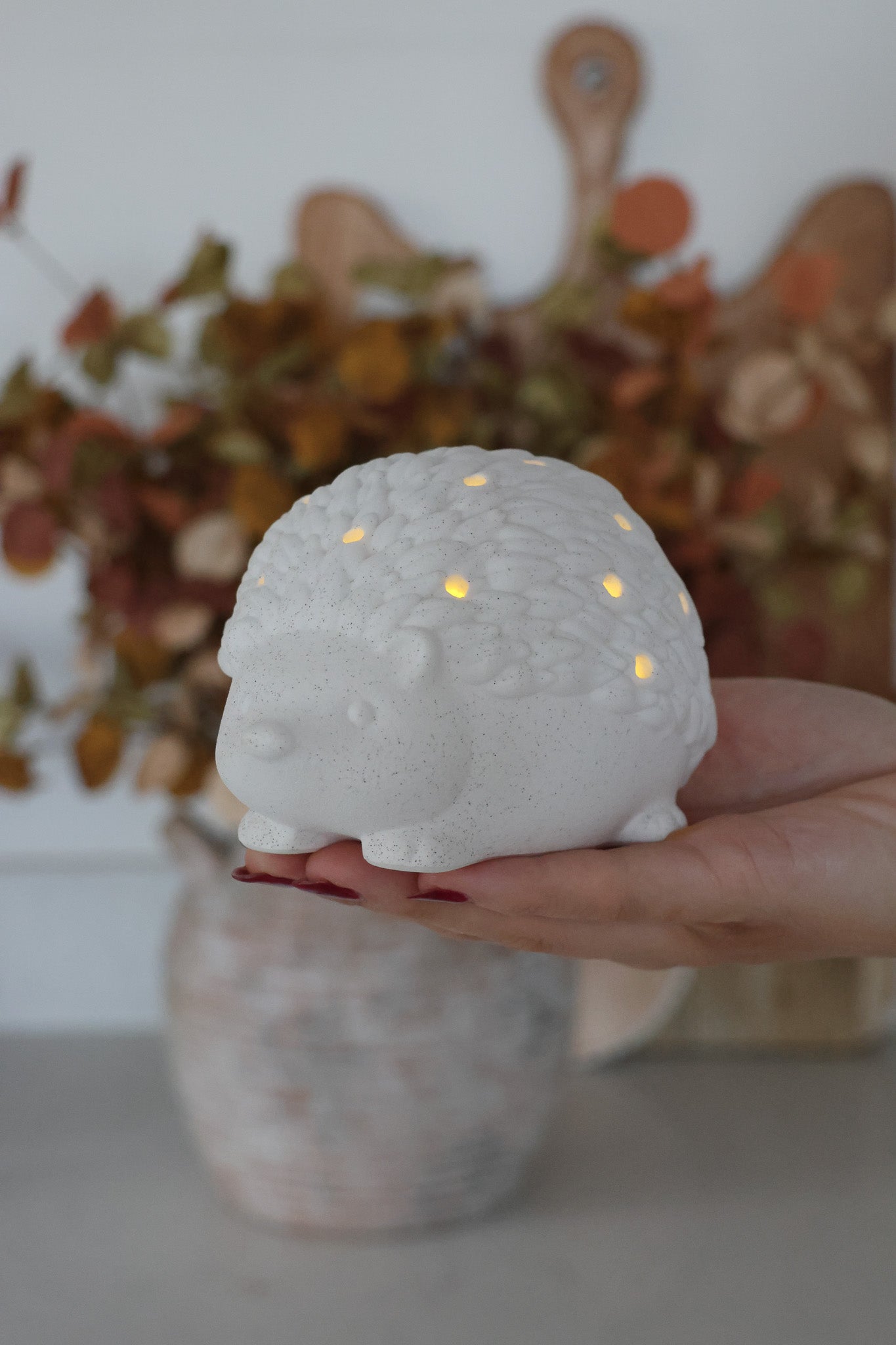 LED Hedgehog