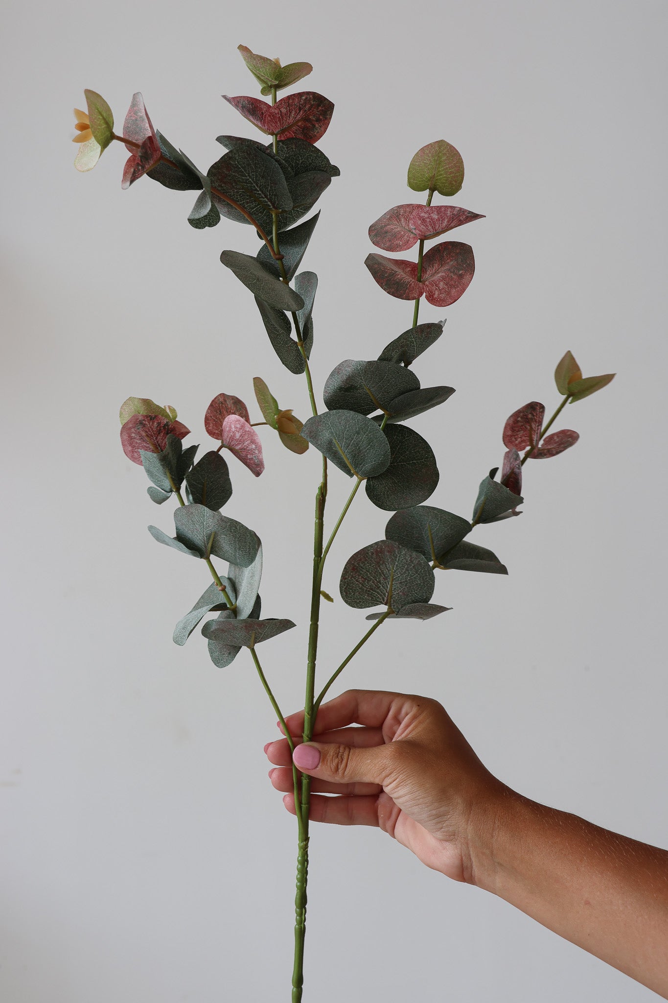 Faux Flowers - Blush Tip Eucalyptus
