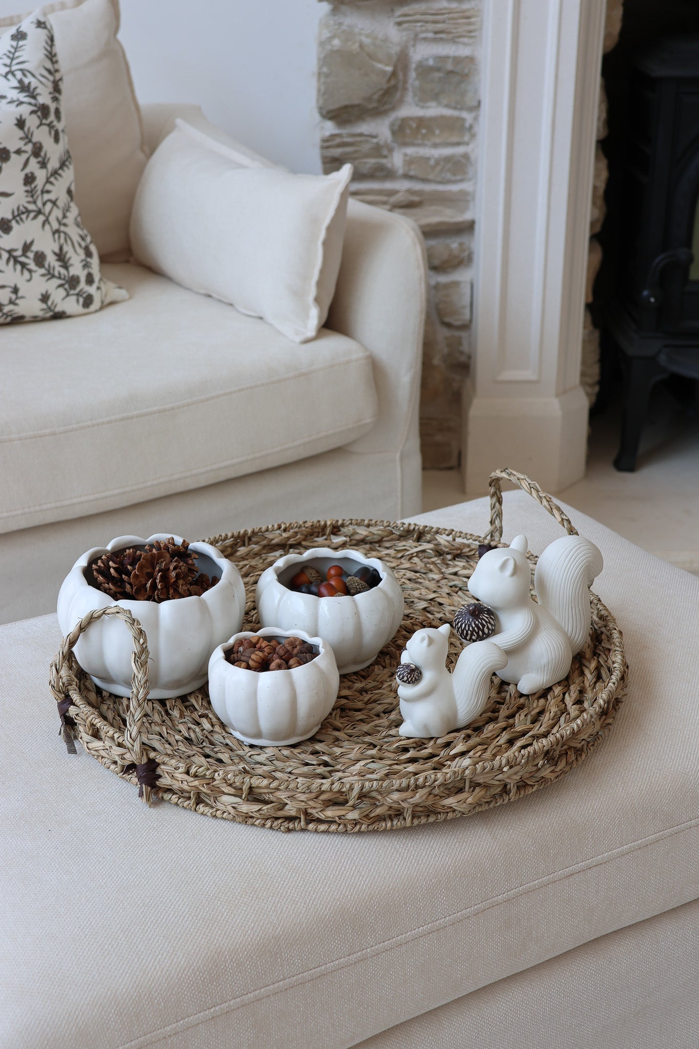 Autumn Squirrel Tray Bundle