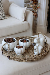 Autumn Squirrel Tray Bundle