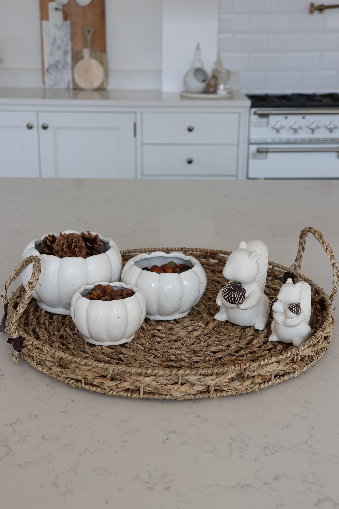 Autumn Squirrel Tray Bundle