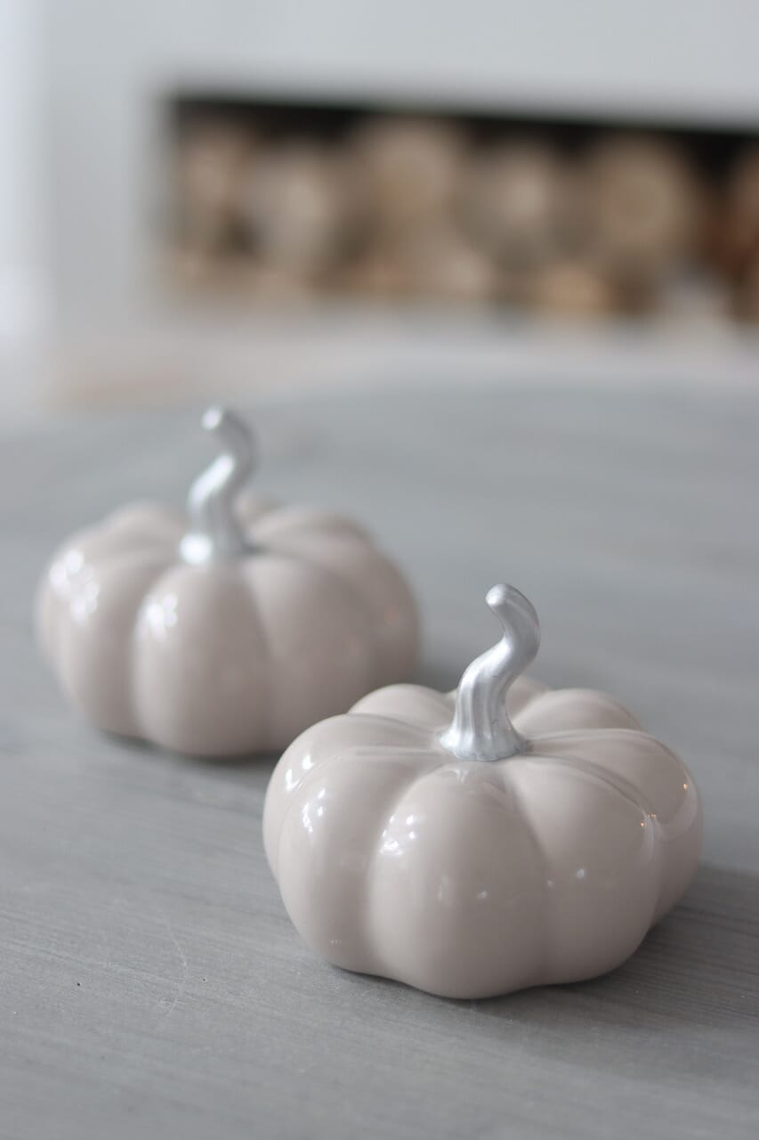 Ceramic Pumpkin Autumn - Medium 2PC