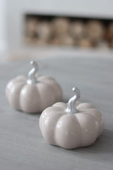 Ceramic Pumpkin Autumn - Medium 2PC