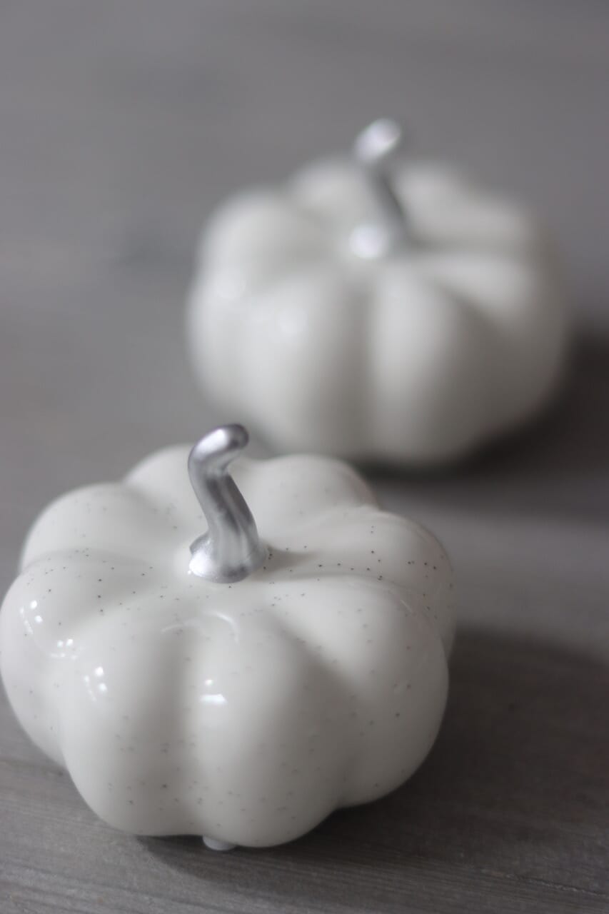 Ceramic Pumpkin Speckled - Small 2PC