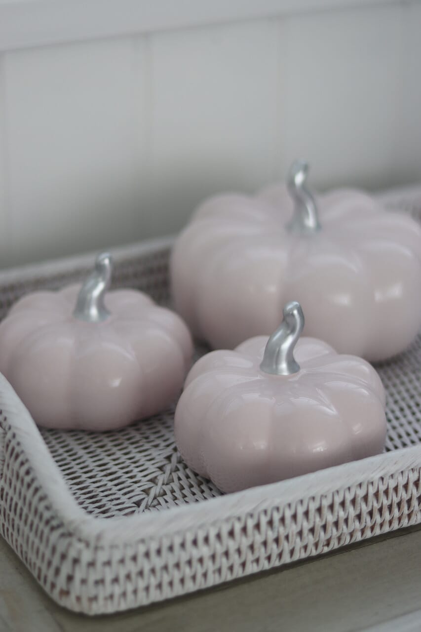 Ceramic Pumpkin Light Pink/Silver - Medium 2PC