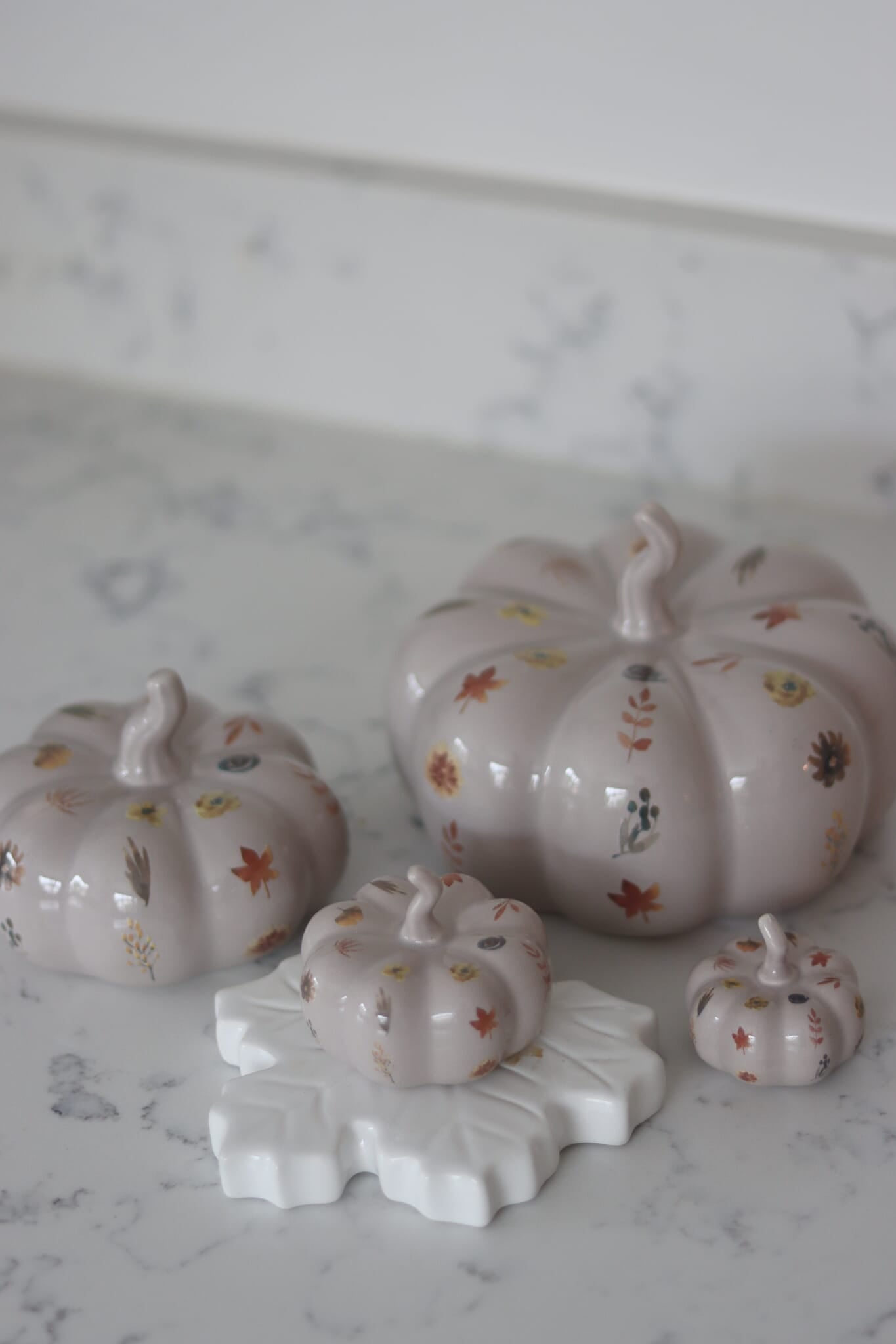 Ceramic Pumpkin Autumn Floral - Medium 2PC