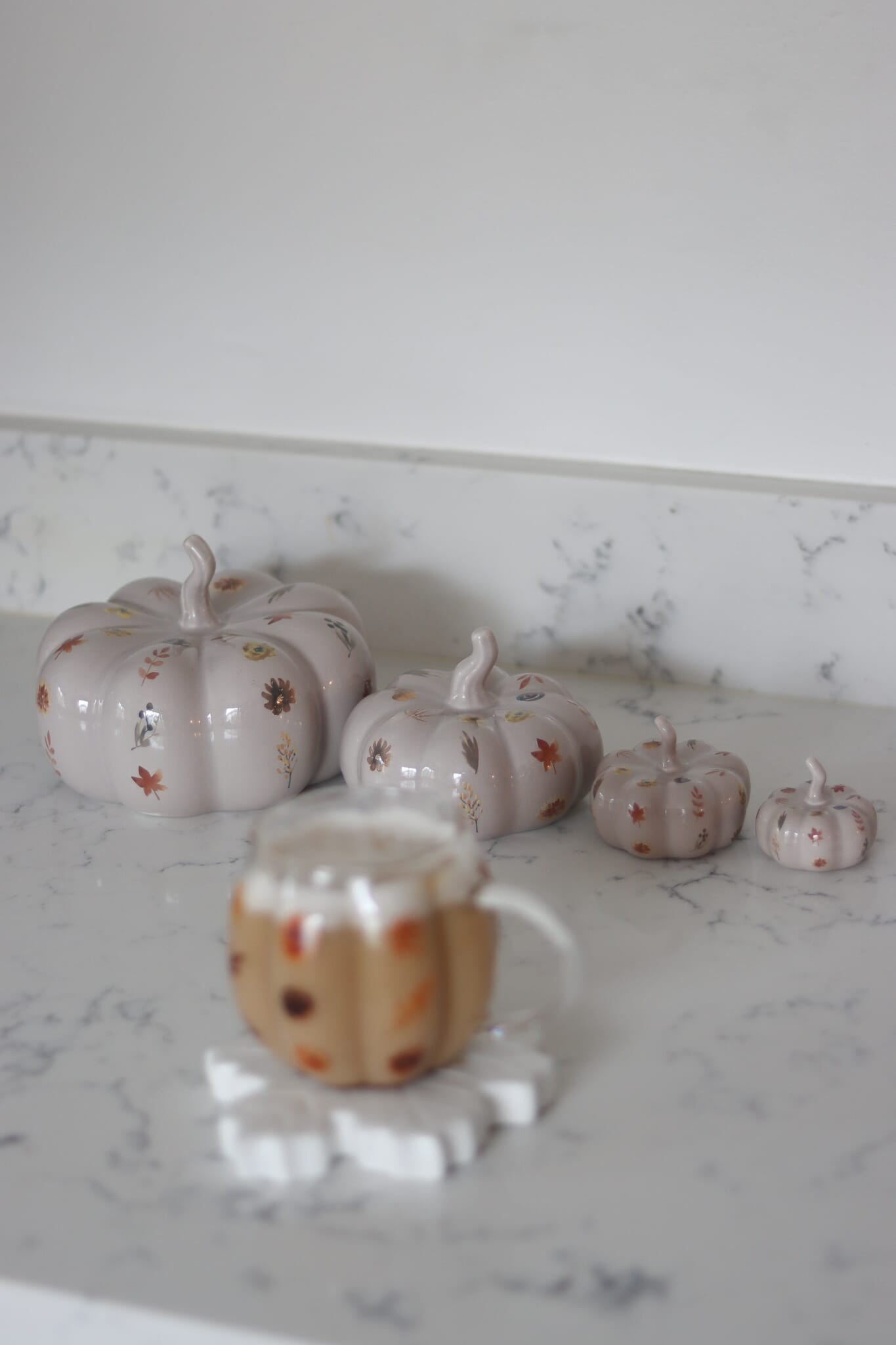 Ceramic Pumpkin Autumn Floral - Medium 2PC