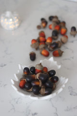 Decorative Acorns - 100pc