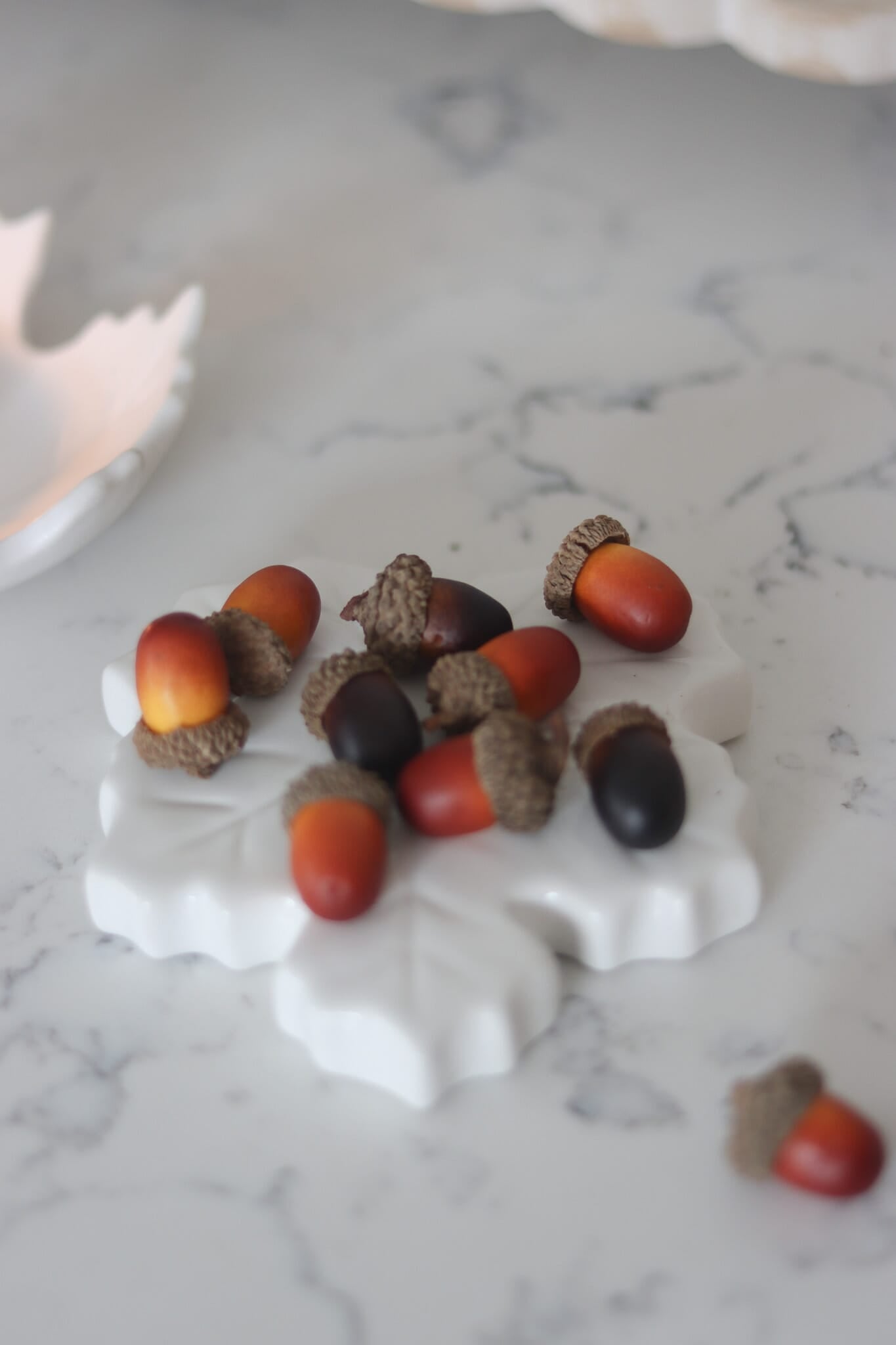 Decorative Acorns - 100pc