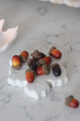 Decorative Acorns - 100pc