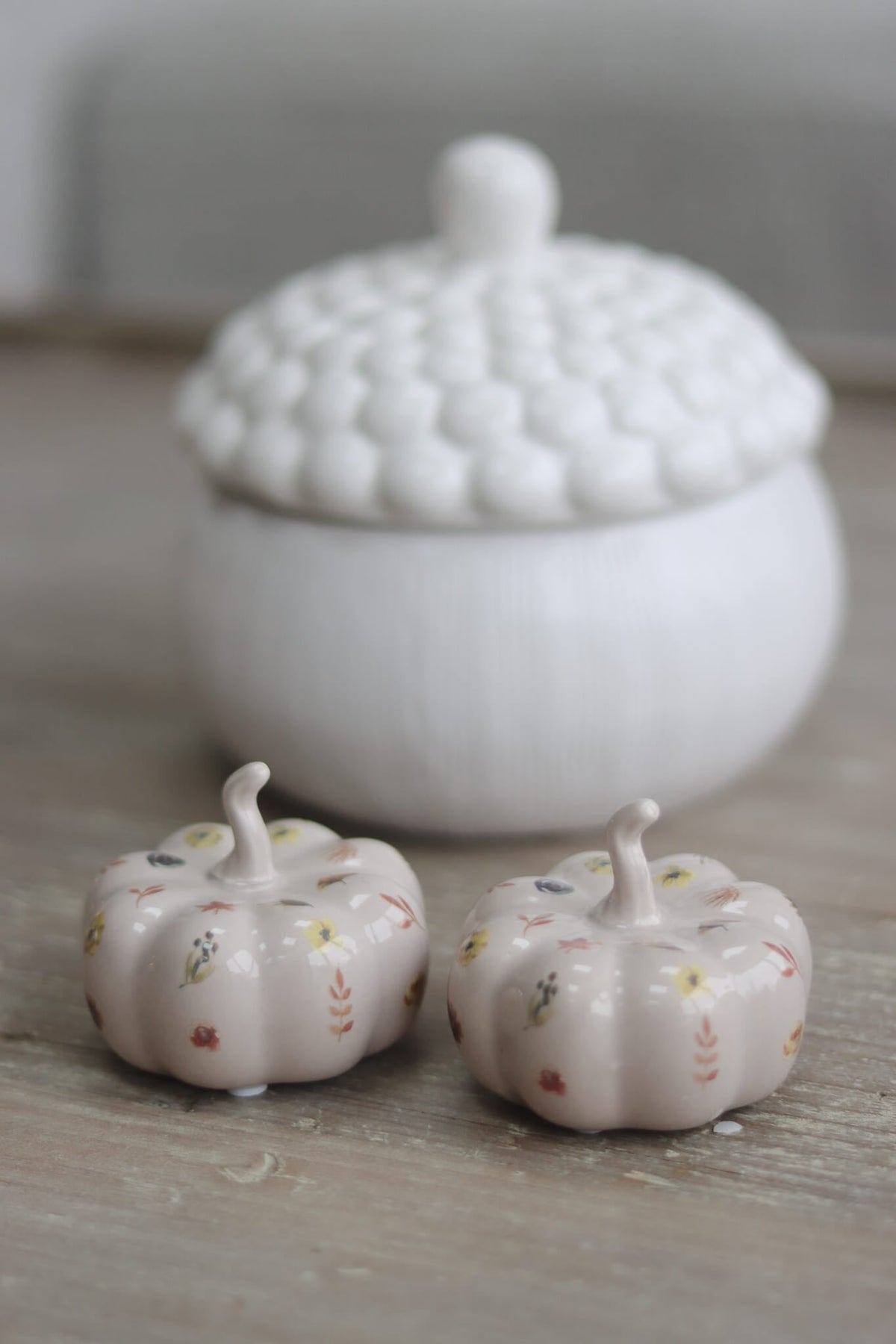 Ceramic Pumpkin Autumn Floral - Small 2PC