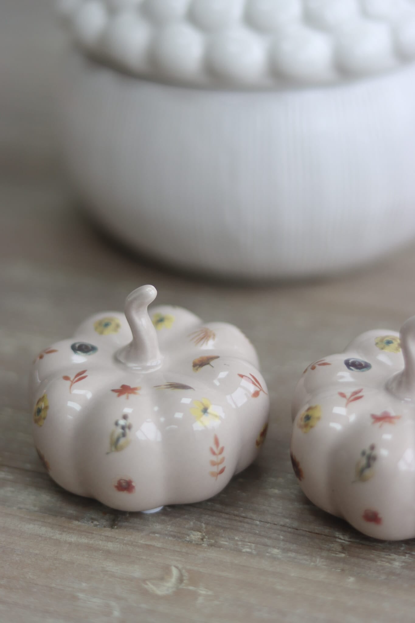 Ceramic Pumpkin Autumn Floral - Small 2PC