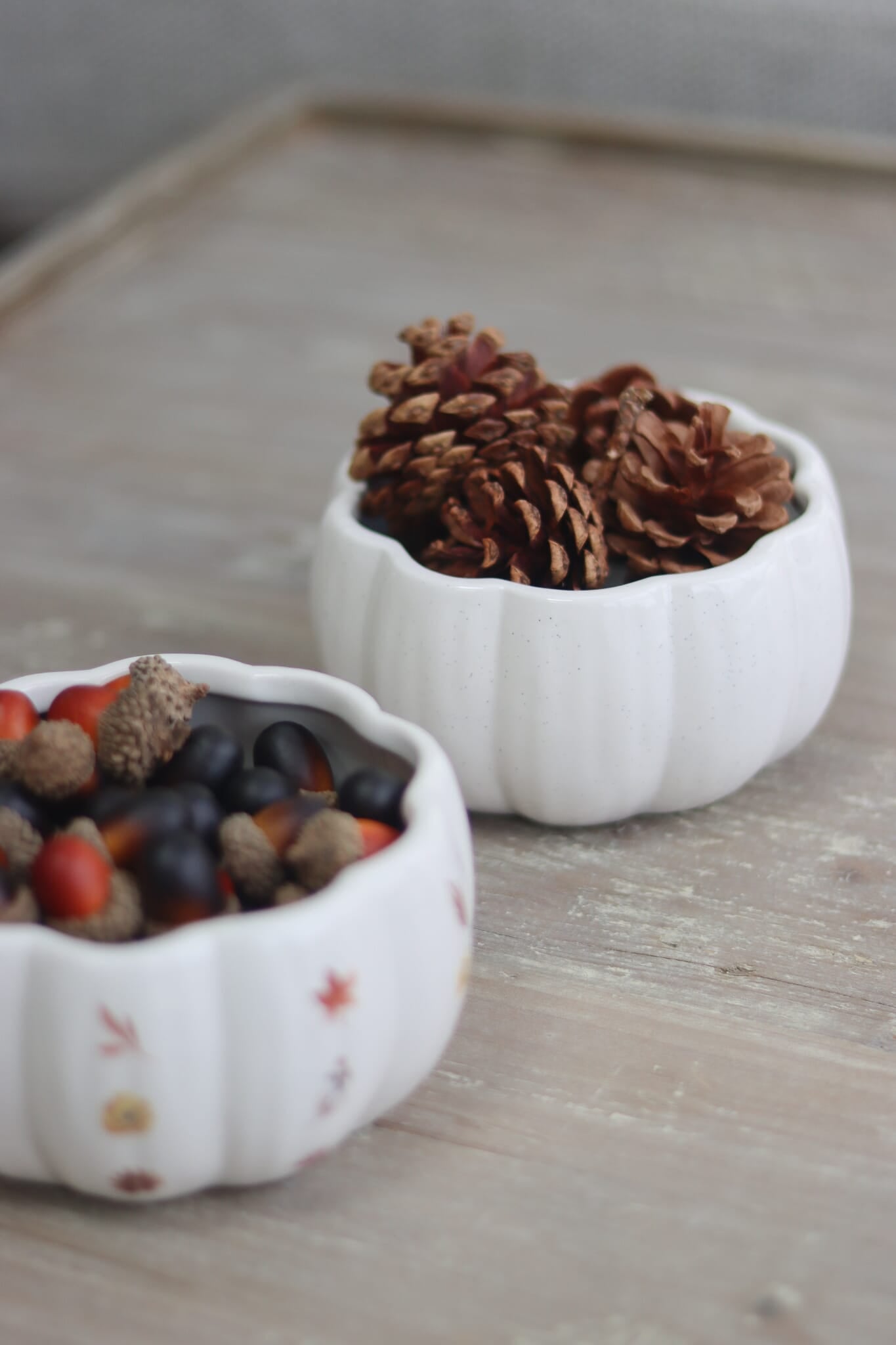 Decorative Pinecones - 20pc