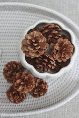 Decorative Pinecones - 20pc