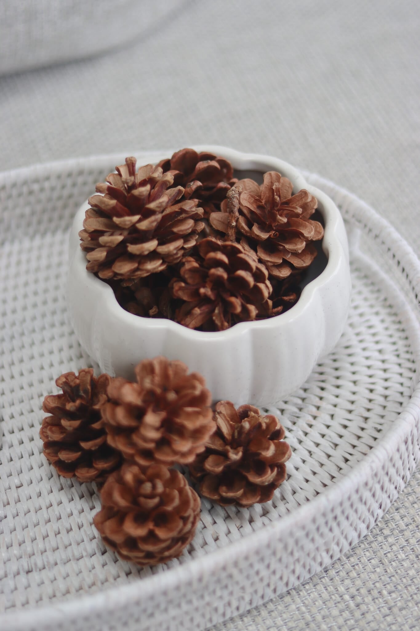 Decorative Pinecones - 20pc