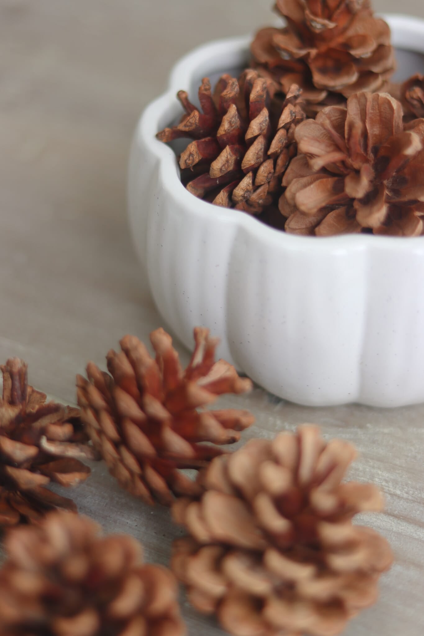 Decorative Pinecones - 20pc