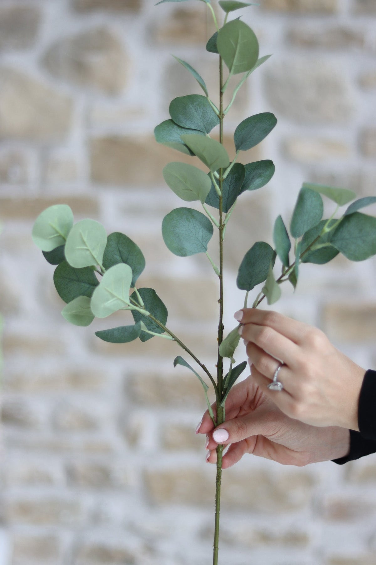 Faux Flowers - Silver Dollar Eucalyptus Spray