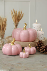 Ceramic Pumpkin Pink - Medium 2 Pc Set