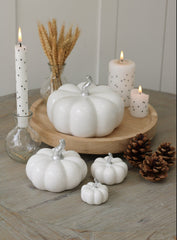 Ceramic Pumpkin White/Silver Stalk - Large